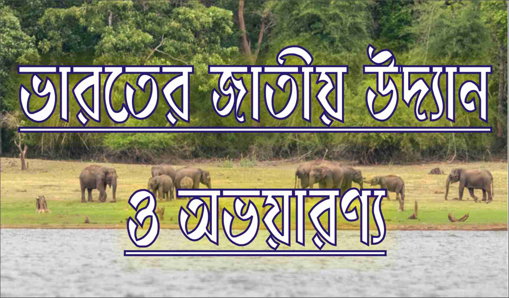 Indian National Parks And Sanctuaries ( ভারতের জাতীয় উদ্যান ও অভয়ারণ্য ) Set 1